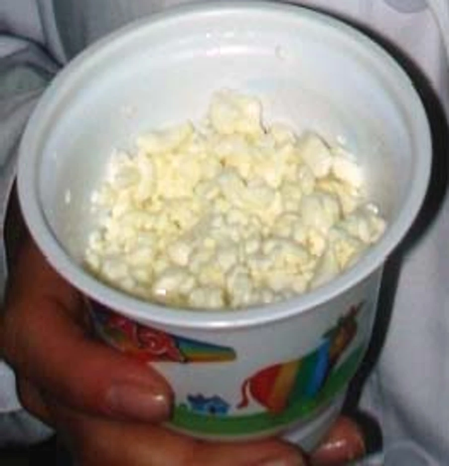 Queso Cottage — cocción gradual por intercambio térmico y túnel de lavado continuo